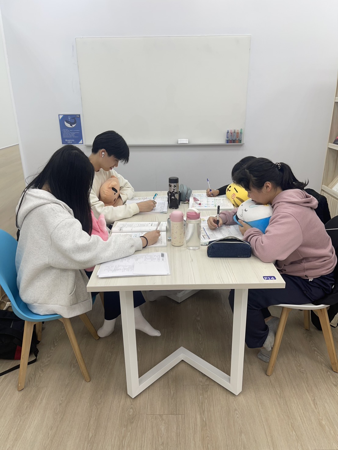 PI4威薾-116會考總複習班